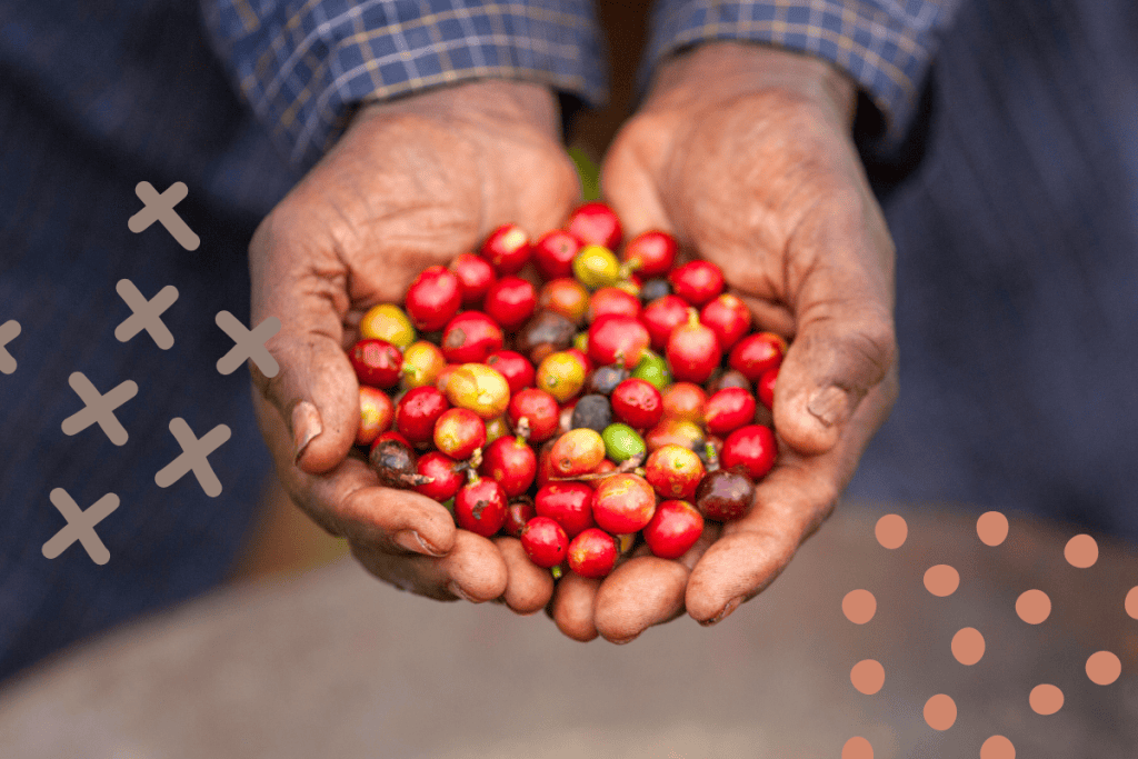 Hoe fairtrade is fairtrade?
